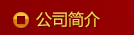 公司簡介