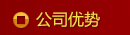 公司優(yōu)勢