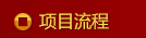 項(xiàng)目流程